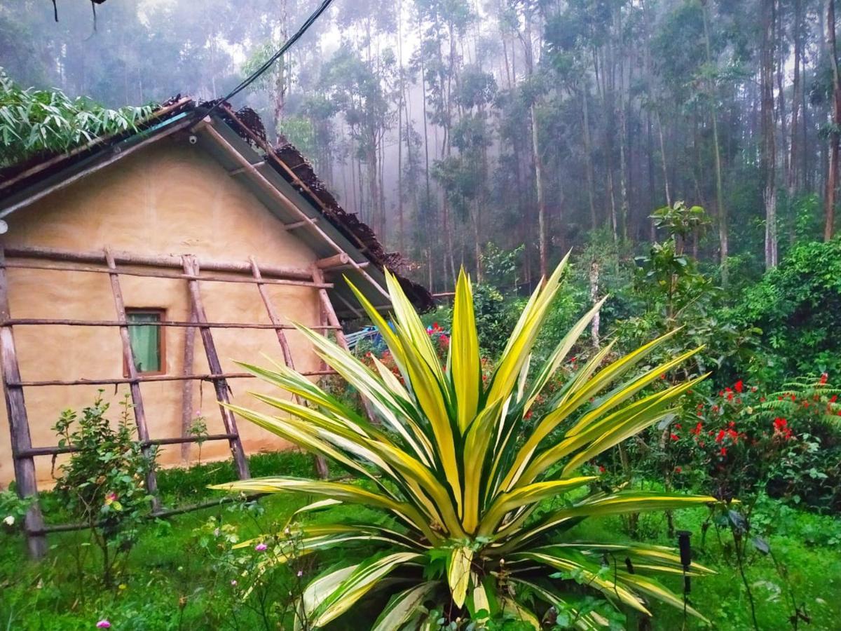 Anandavana Jungle Living By Lexstays - Kanthalloor-Marayur Esterno foto
