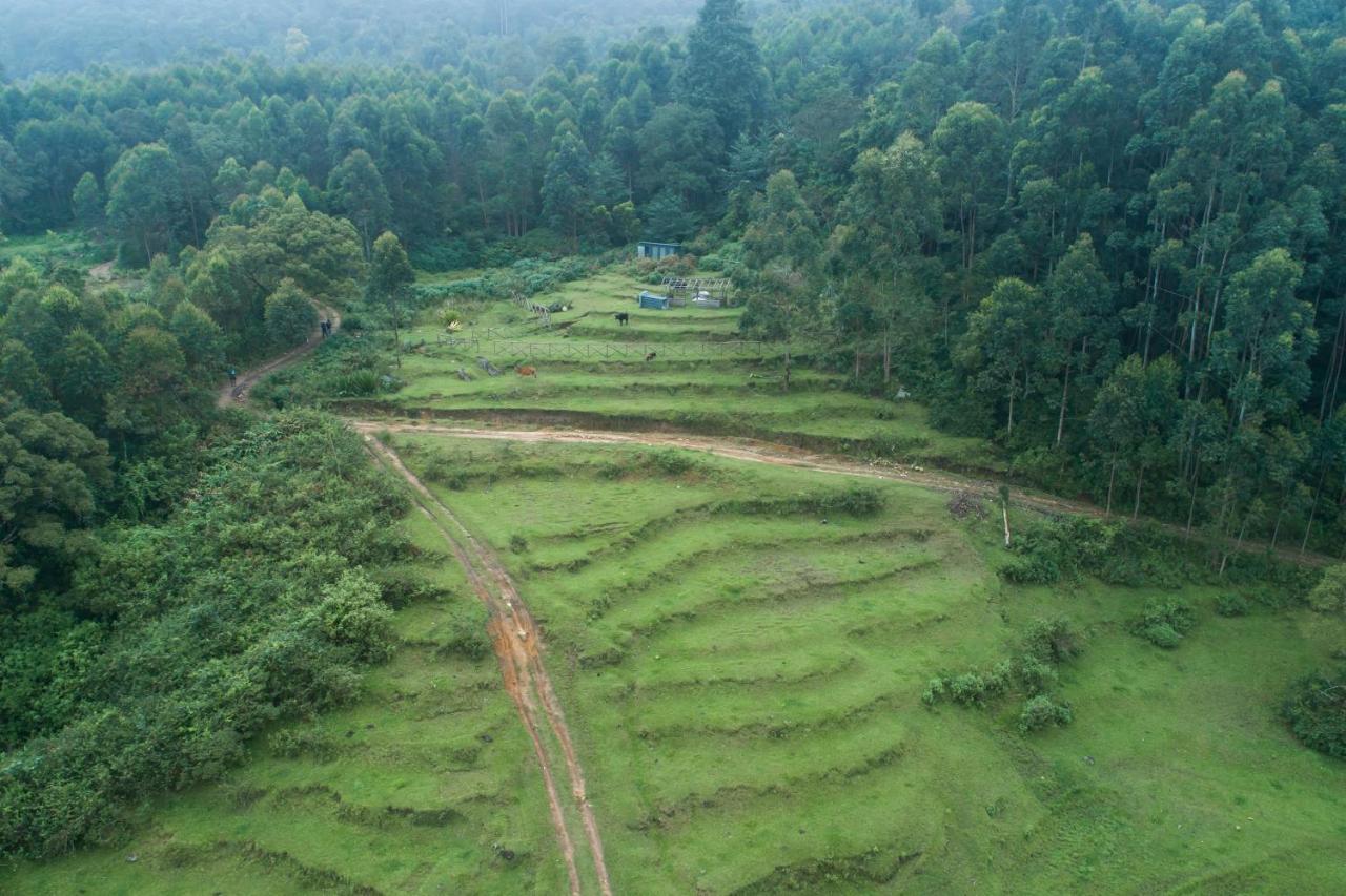 Anandavana Jungle Living By Lexstays - Kanthalloor-Marayur Esterno foto