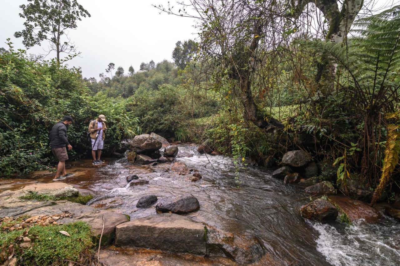 Anandavana Jungle Living By Lexstays - Kanthalloor-Marayur Esterno foto